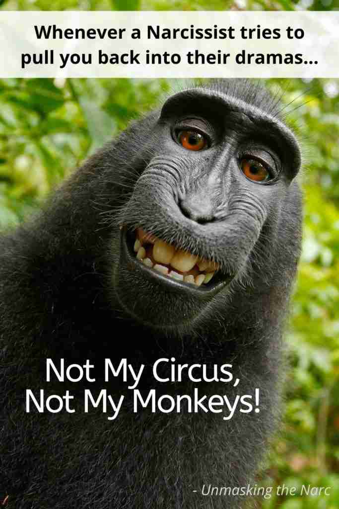 Not My Circus, Not My Monkeys! MEME