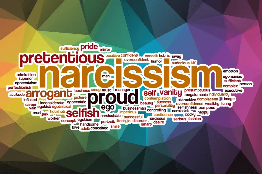Meaning narcissism Covert Narcissist:
