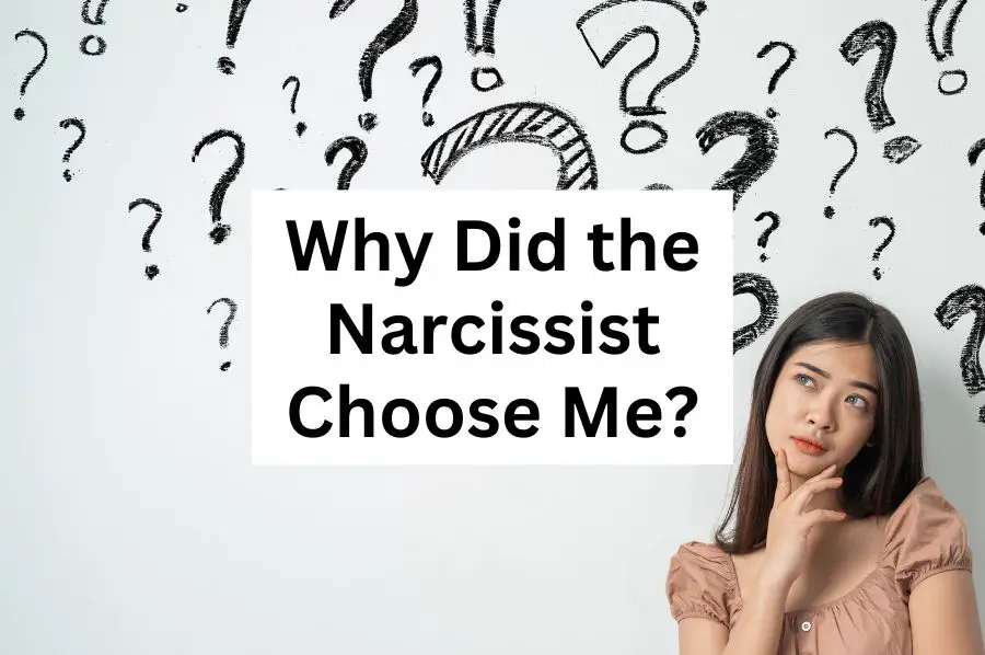 Why Did the Narcissist Choose Me?