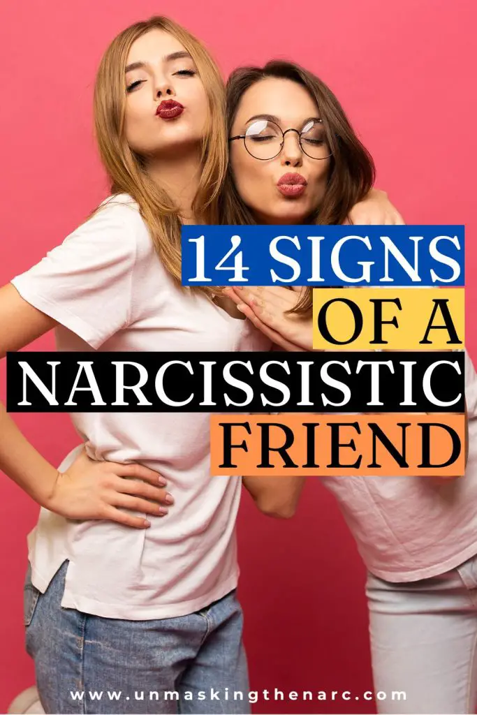 Narcissistic Friendship Cycle - PIN